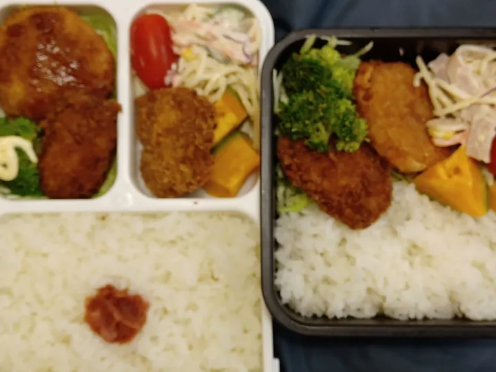 レンチン弁当|ぱいんてーるさん