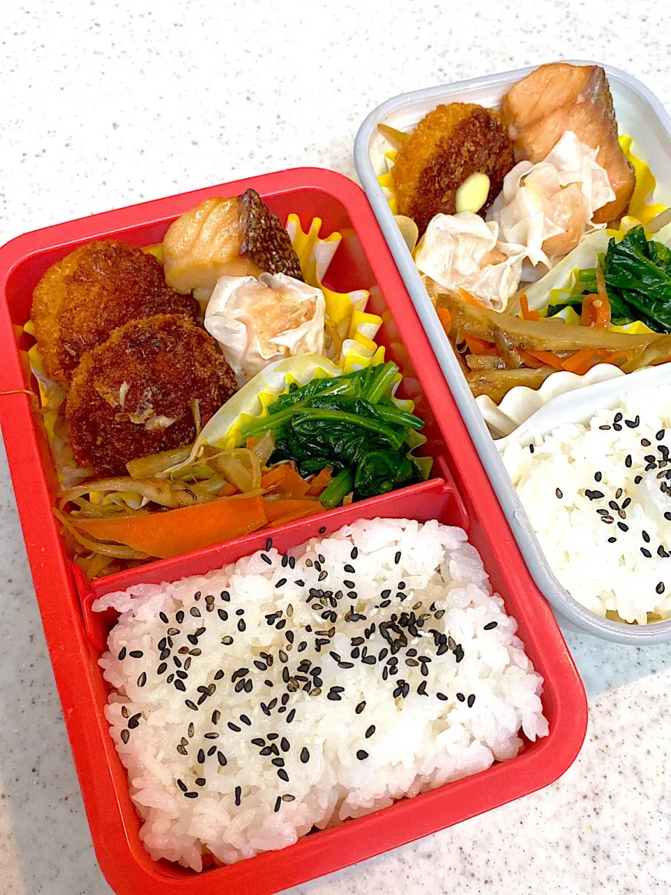 Snapdishの料理写真:ミックス　弁当|asumamaさん