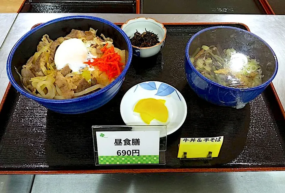 Snapdishの料理写真:温玉牛丼・ハーフ山菜そばセット|nyama1さん