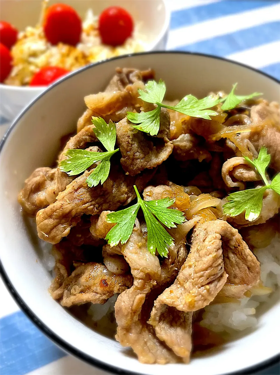 生姜と大蒜と五香粉香る玉葱たっぷり豚丼|カピバラおやじさん