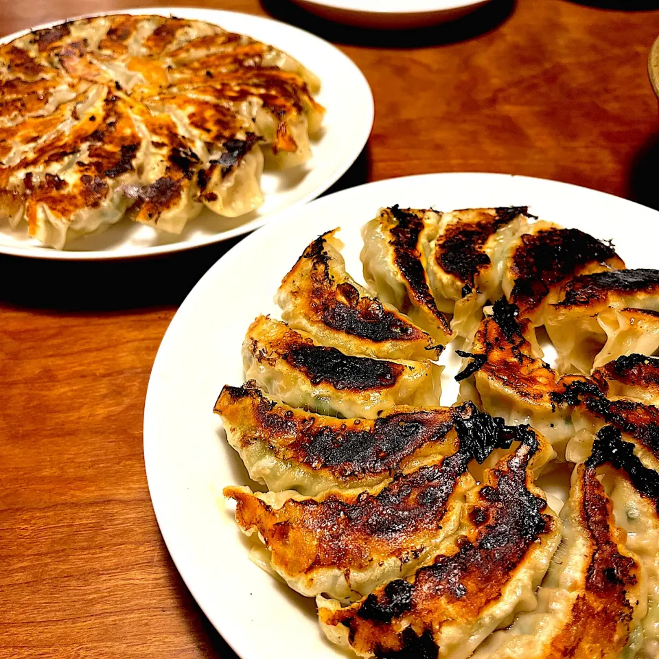 普通の餃子としそ餃子|クッキじぃ。さん