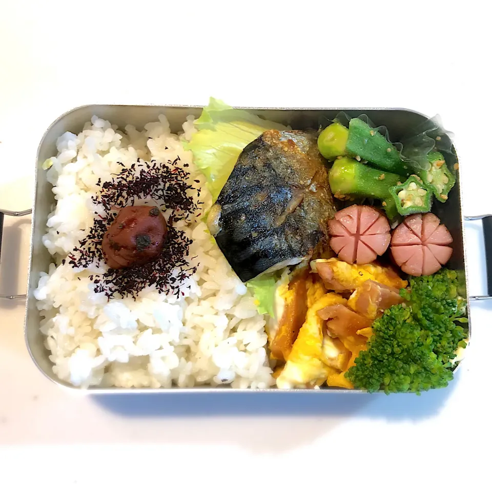 Snapdishの料理写真:サラ弁　　　　　　　　　　　　　　　　　　塩サバ　オクラな胡麻酢和え　ハム卵とじ　ブロッコリー　ウインナー|じゅんさんさん