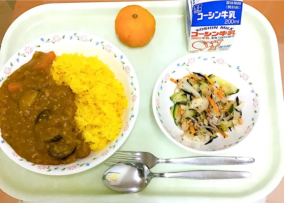 夏野菜カレー・ひじきのツナサラダ・冷凍みかん|ただの栄養士さん