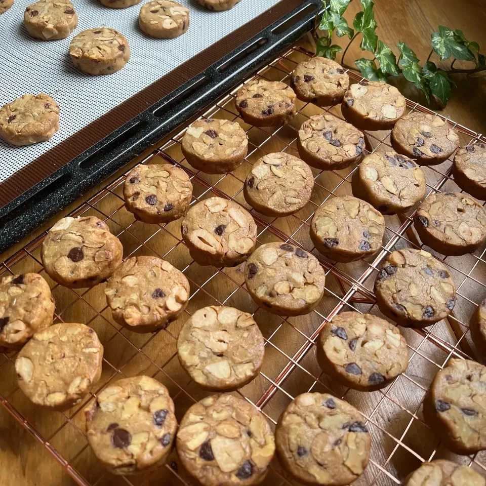 Snapdishの料理写真:🍪カフェモカ的なナッツたっぷりクッキー🍪|Hollyさん