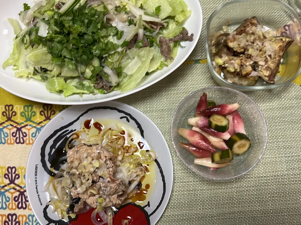 牛肉と春雨のタイ風サラダ、鯖水煮缶、みょうがときゅうりのピクルス|peanutsさん