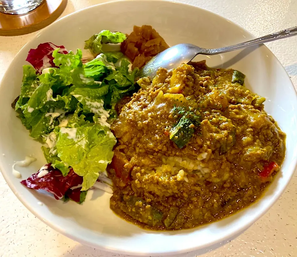 単身赴任中の外食(そぼろカレー)|おおもりの星さん