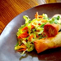 Chinese style spring roll|Cpthaggisさん