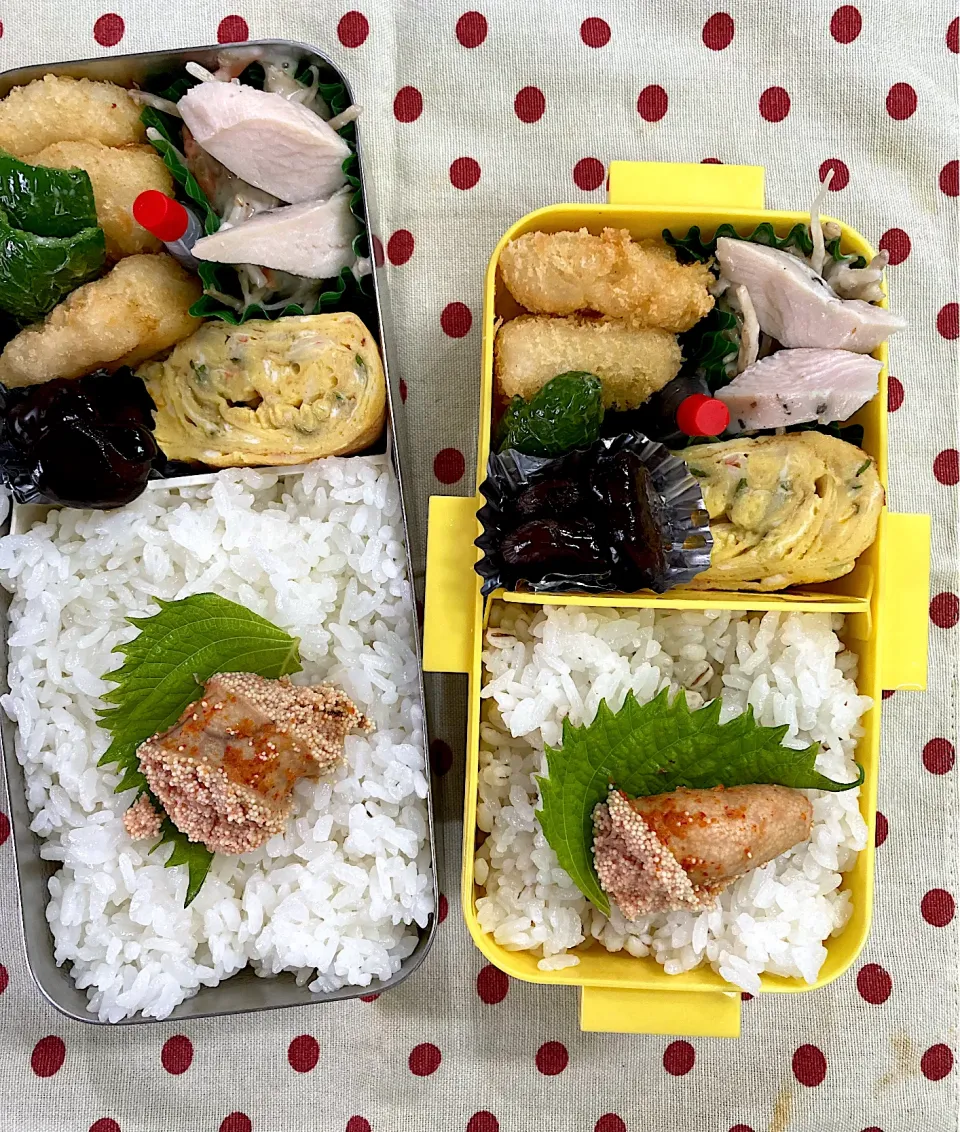 9月8日 今日も晴天弁当🍱|sakuramochiさん