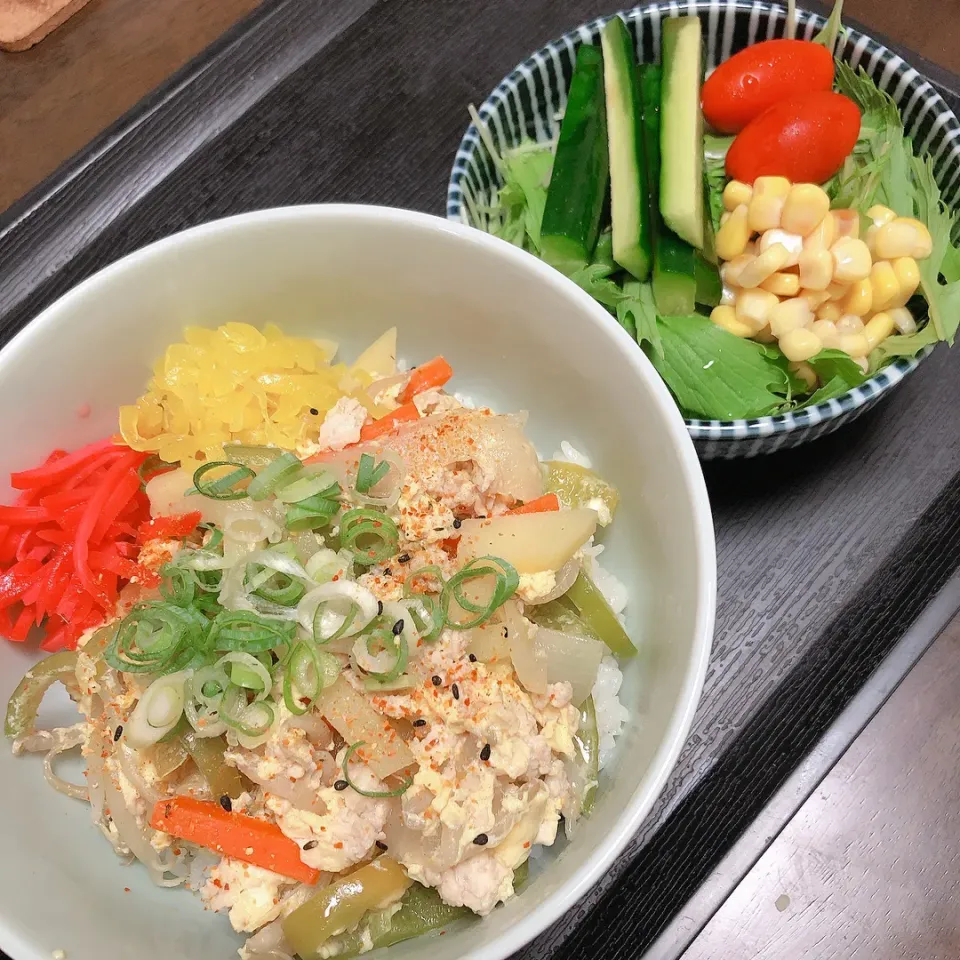 鶏ミンチとたっぷり野菜丼|まちゃさん