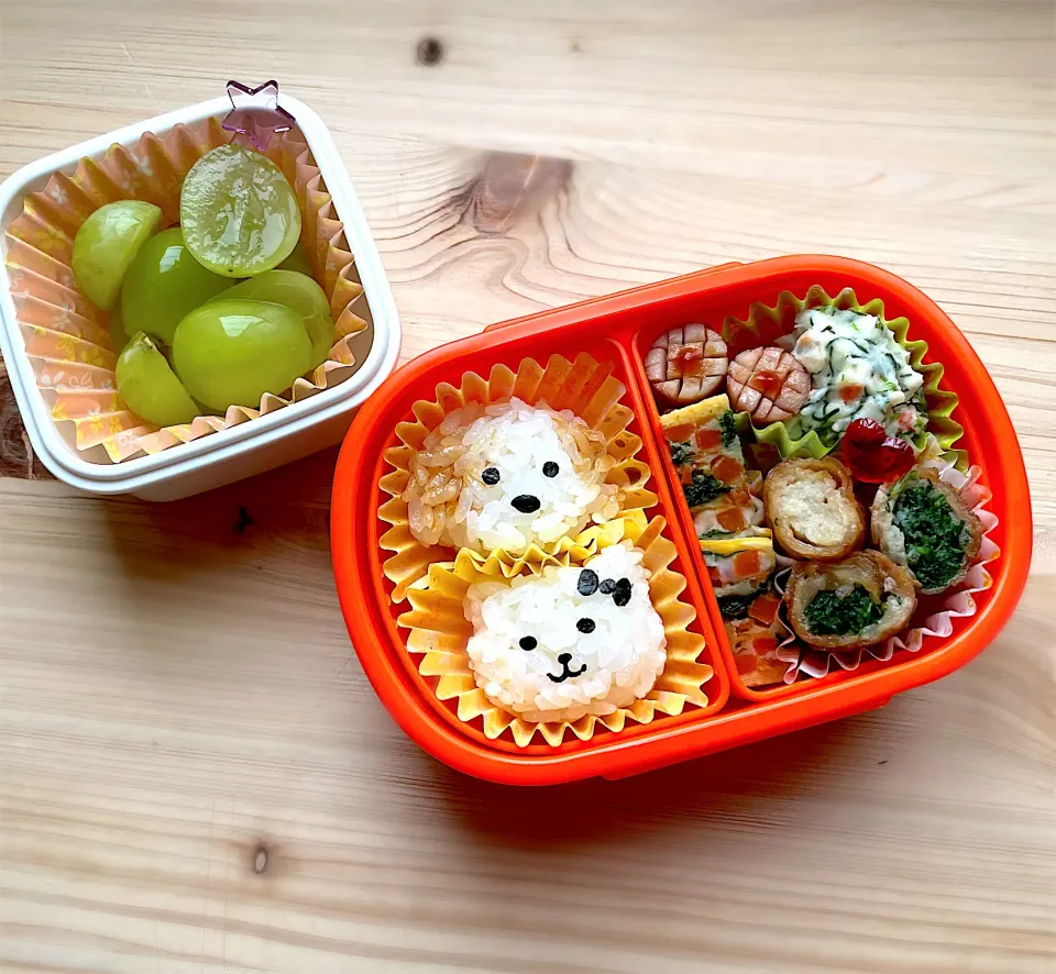 Snapdishの料理写真:わんにゃんおにぎり弁当|ふうりんさん