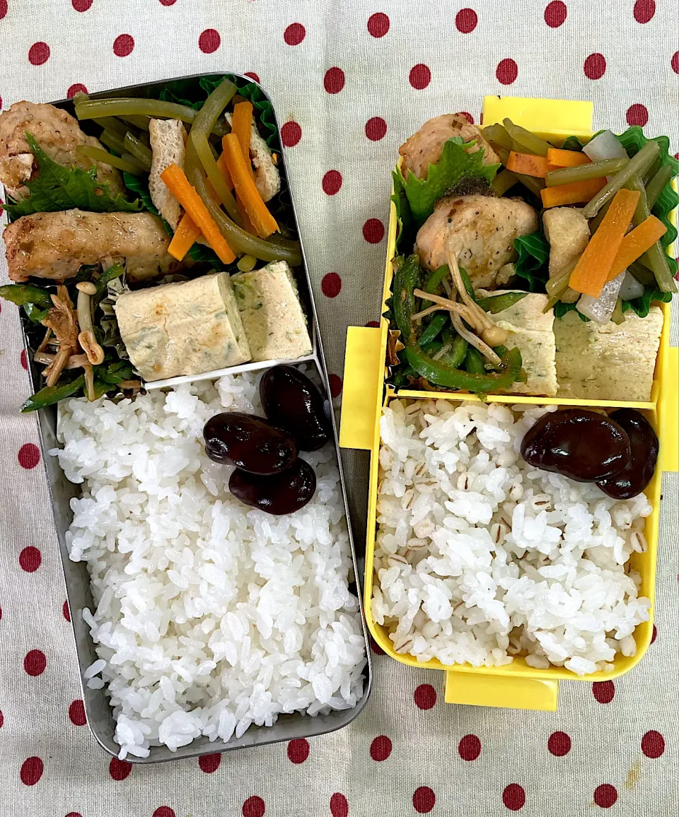 Snapdishの料理写真:9月9日 週末弁当🍱|sakuramochiさん