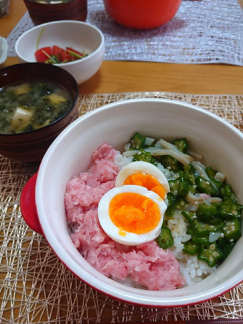 まぐろのたたきとイカオクラ丼|ごはんきろくさん