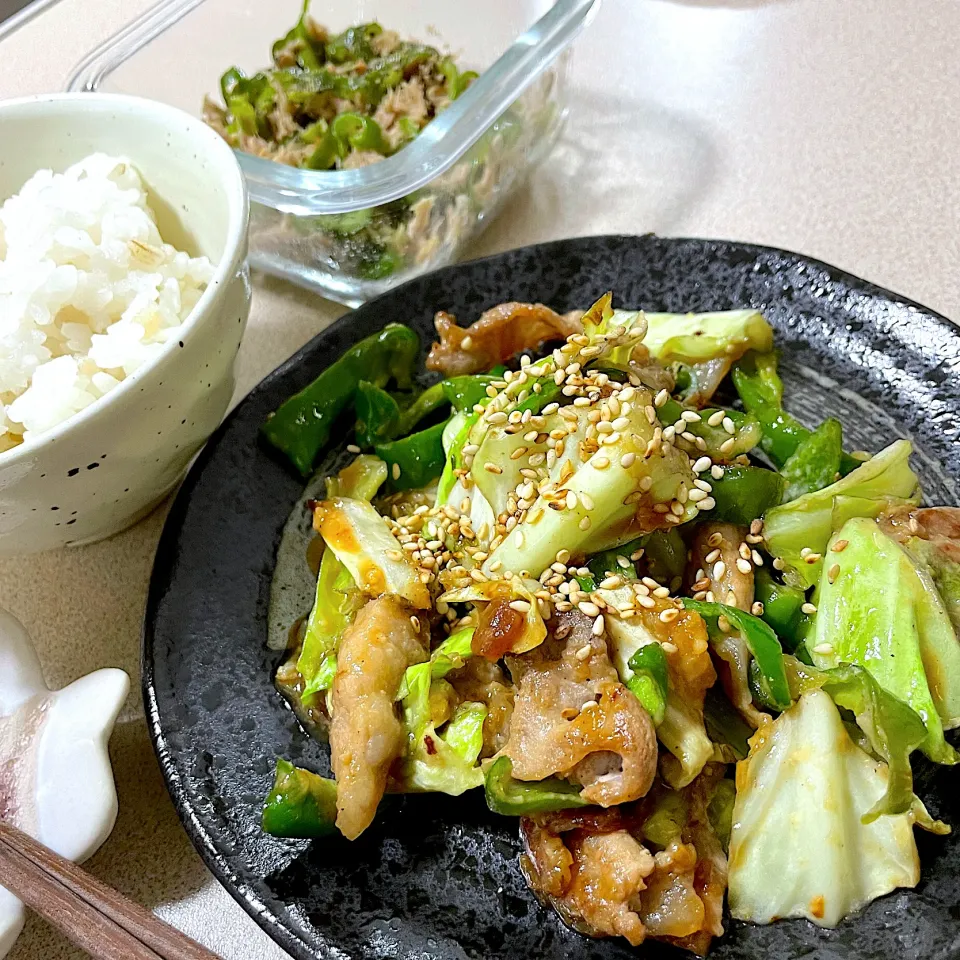 Snapdishの料理写真:220906お昼ごはん|mioさん