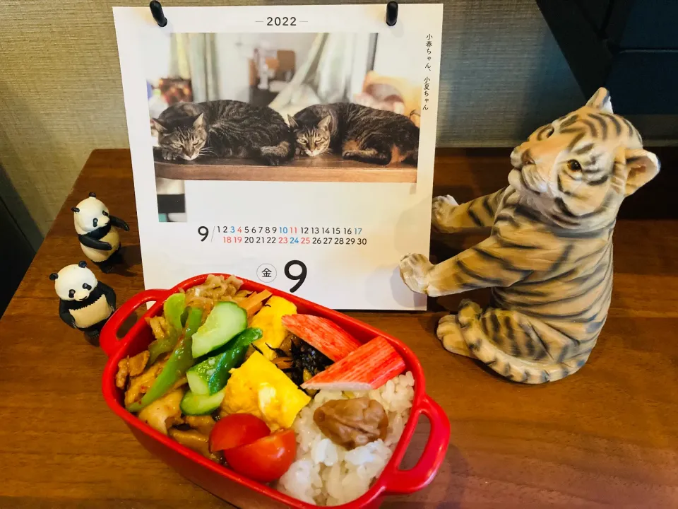 Snapdishの料理写真:20220909🍱今日の自分弁当🍱|akiyo22さん