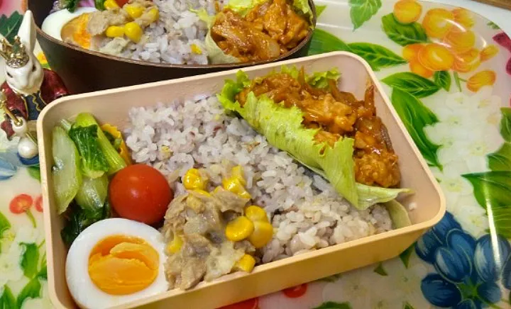 Snapdishの料理写真:'22．9/10
本日のお弁当🍱|たえさん