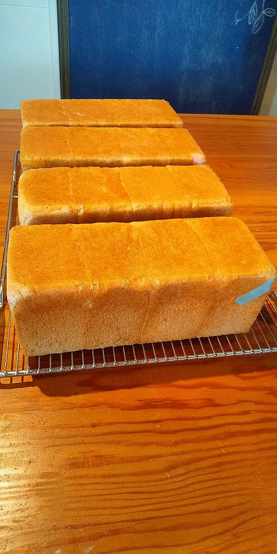 パン教室でグラハムトーストを焼きました🍞|さくらんぼさん