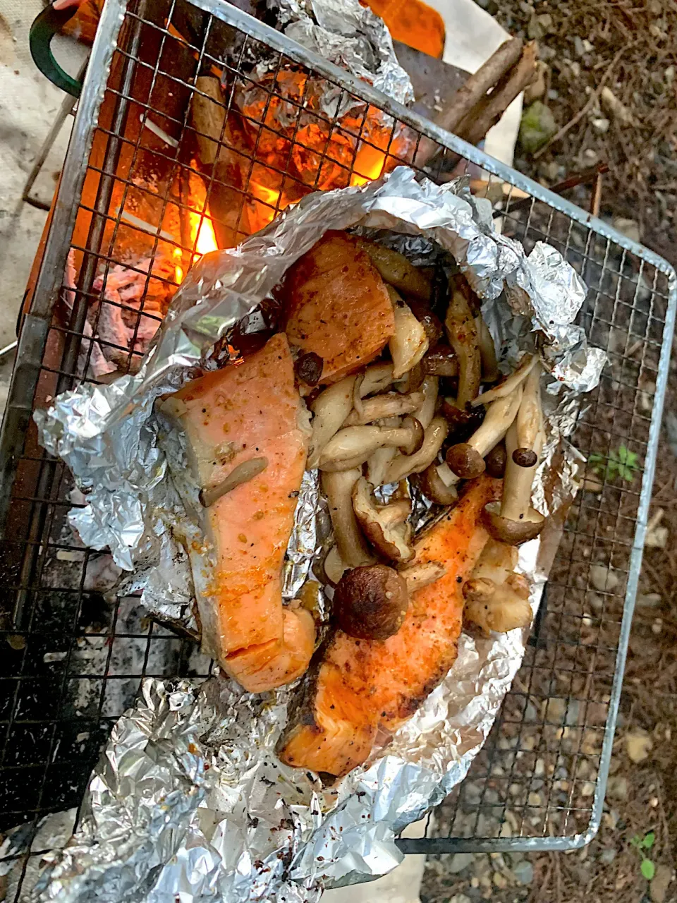 焚き火で鮭ときのこ焼いた|やまもとよりこさん