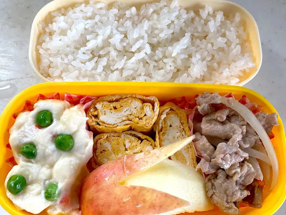 肉塩炒め弁当|料理嫌いを直したいさん