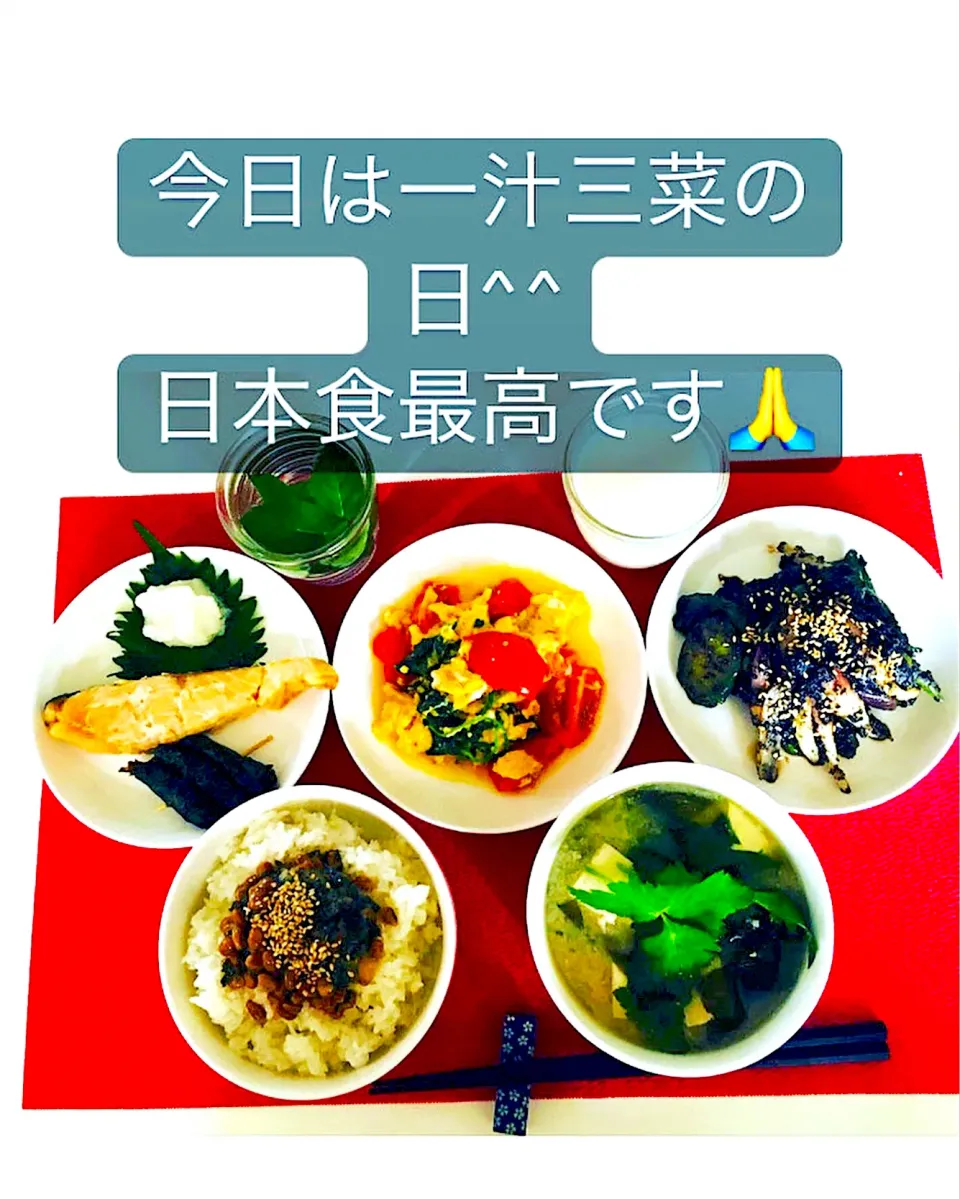 Snapdishの料理写真:納豆卵かけご飯🍚豆腐ワカメ三つ葉甘酒入り味噌汁☘️鮭焼き魚🐟大根おろし、紫蘇巻き💪トマト🍅三つ葉☘️卵とじ💪夏野菜の黒胡麻炒め💪💖|HAMI69さん