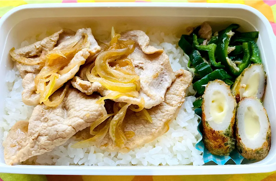 Snapdishの料理写真:9/15(木)お肉のっけ弁当|ちくわさん