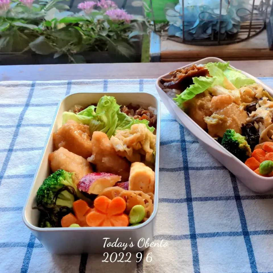 長女のお弁当✨
鶏むね肉キャベツのオイスター炒め弁当💕|さらママさん