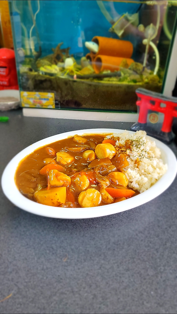 肉が無かったかので、刺し身ホタテを大量シーフードカレー🏖️