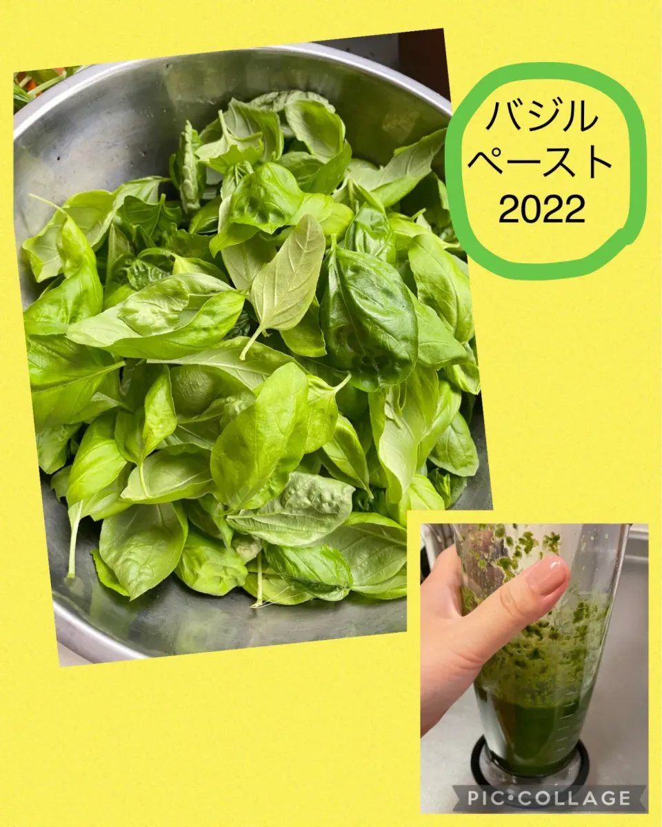 Snapdishの料理写真:2022のバジルペーストです。青虫事件簿|にゃふてんさん