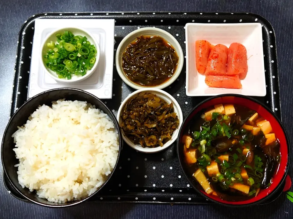 今日の朝ごはん（千葉県産ふさおとめに辛子明太子（千曲屋）、めかぶ、辛子高菜（激辛）、ひきわり納豆、エリンギのみそ汁（赤だし））|Mars＠釜飯作り研究中さん