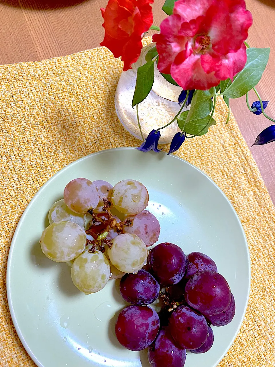 葡萄の食べ比べ🍇キタサキレッド(左)、あかり(右)|1614さん