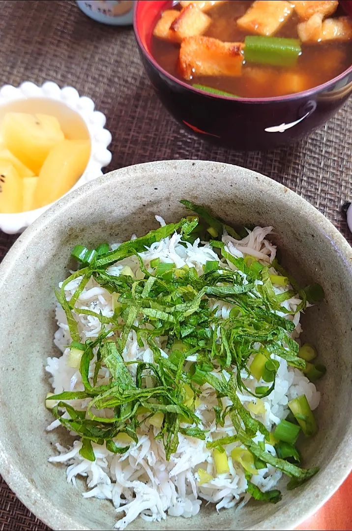 しらす丼で朝ご飯🌄|ポチさん