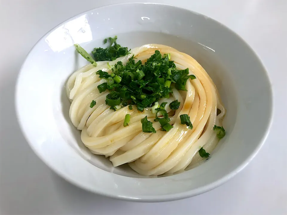 三嶋製麺所のうどん|ひねくれさん