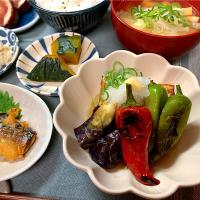 万願寺とうがらしと茄子と厚揚げの焼き浸し