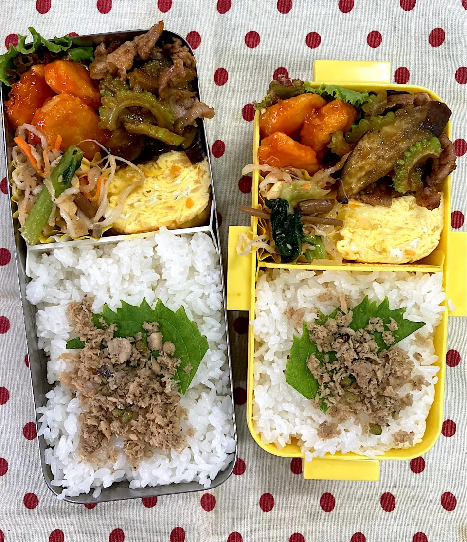 Snapdishの料理写真:9月20日 台風一過 秋晴れ弁当🍱|sakuramochiさん