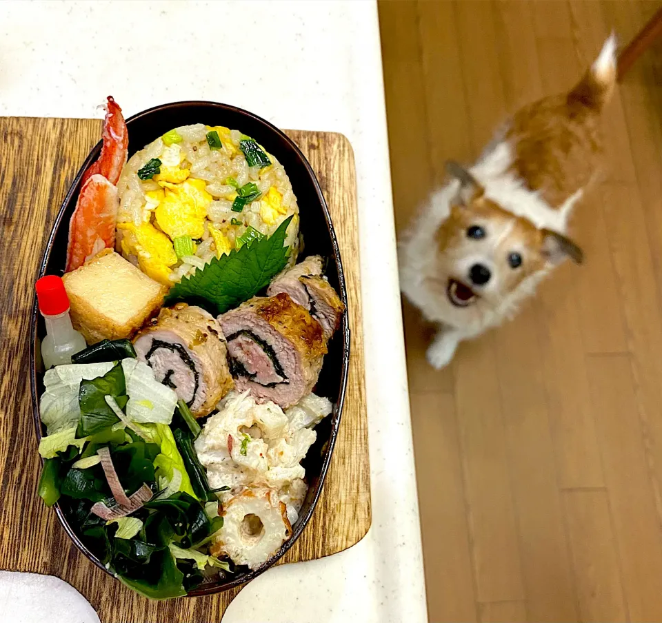 炒飯と豚ヒレぐるぐる弁当🌀🌀|cafe3733さん