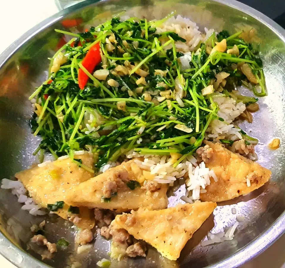 Dinner 💕  Fried Tofu minced pork + spicy garlic 豆苗🤤🥰🍽🤗|🌷lynnlicious🌷さん