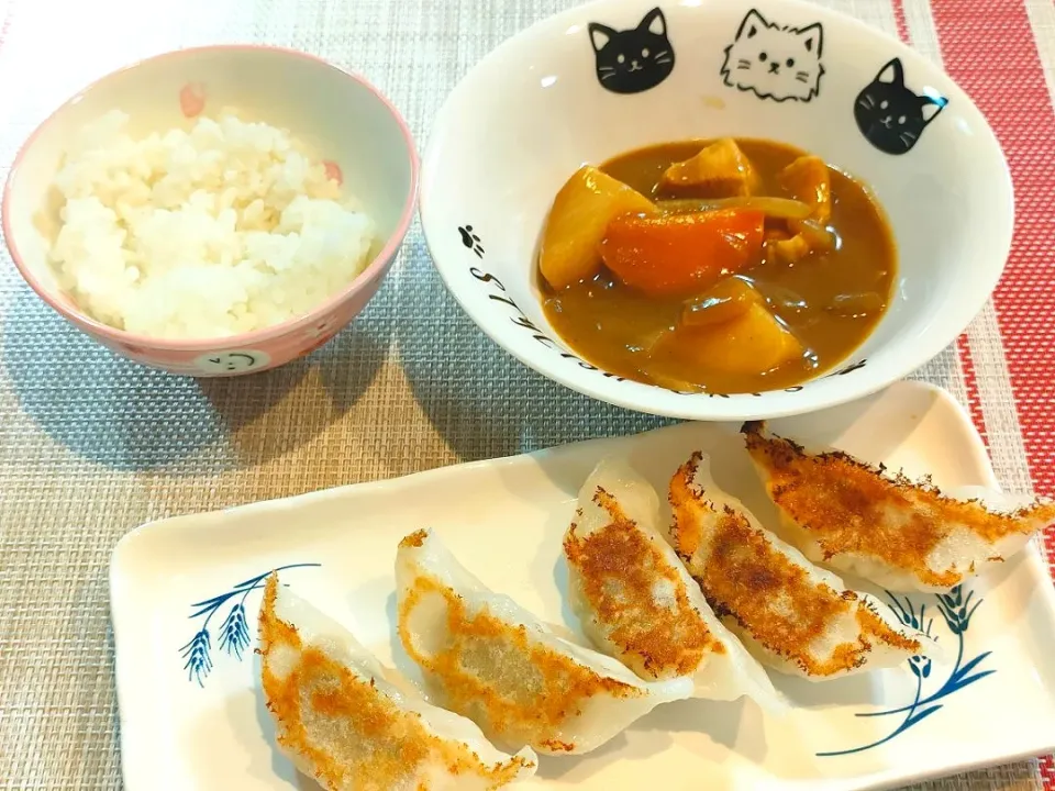 Snapdishの料理写真:餃子とカレーと|JUbeさん