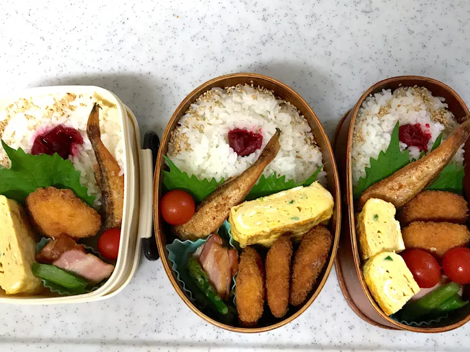 高校生男子お弁当🍱|ちょこさん