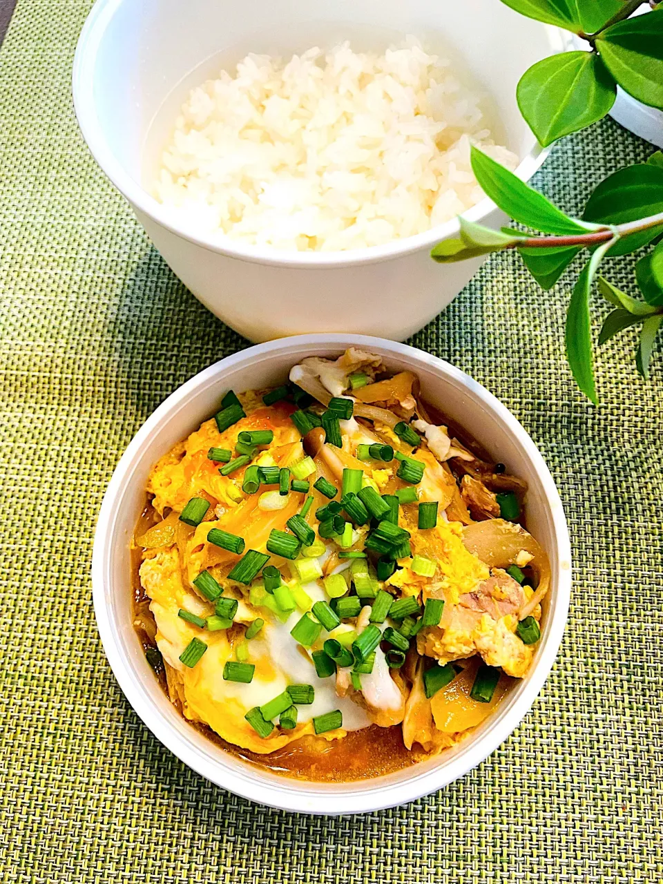 Snapdishの料理写真:親子丼のお弁当|＊ayabianさん