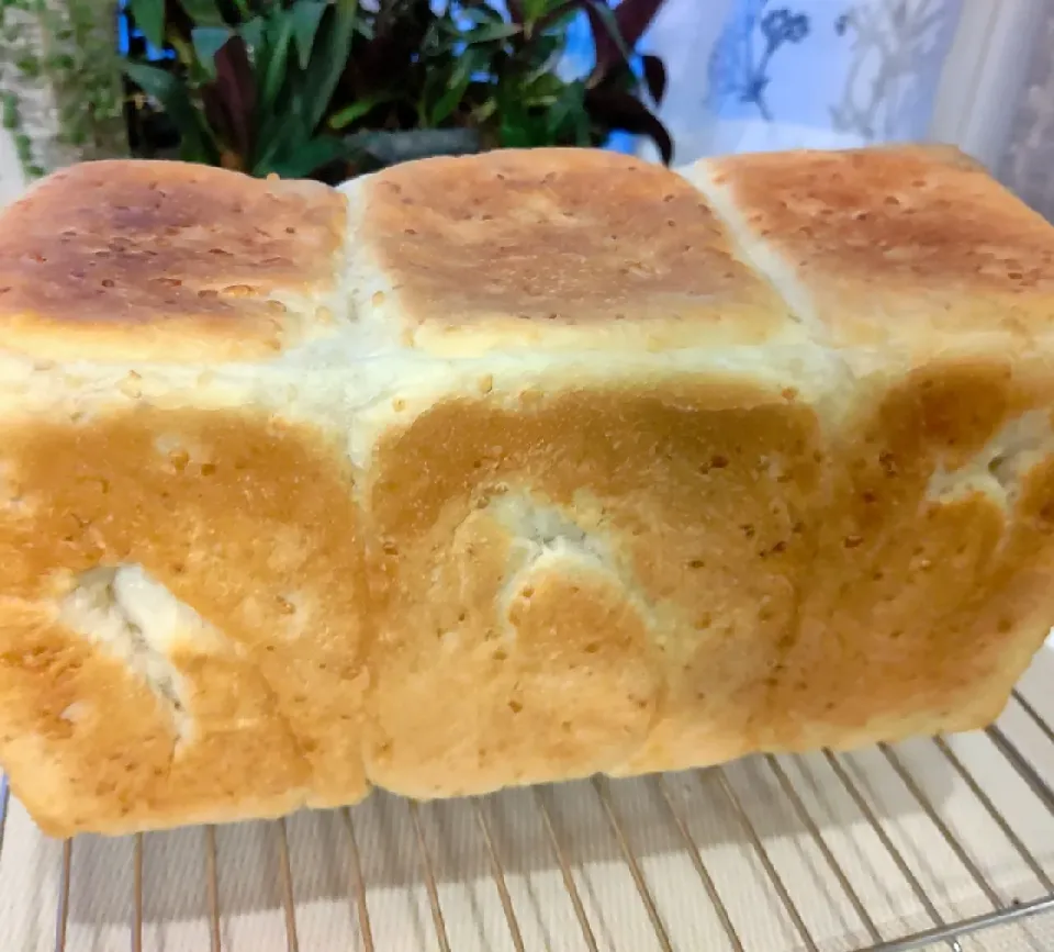 まゆみさんの料理 まゆみさんの料理 3色    玄米食パン🍞|まゆみさん