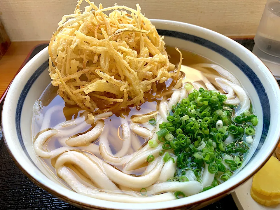 ごぼう天うどん|ぶりっとさん