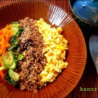 ビビンバ丼～本日のランチ