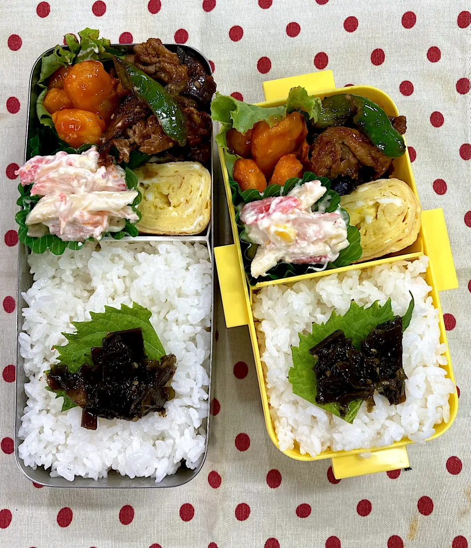 Snapdishの料理写真:9月26日 連休明け 今日から日常弁当🍱|sakuramochiさん