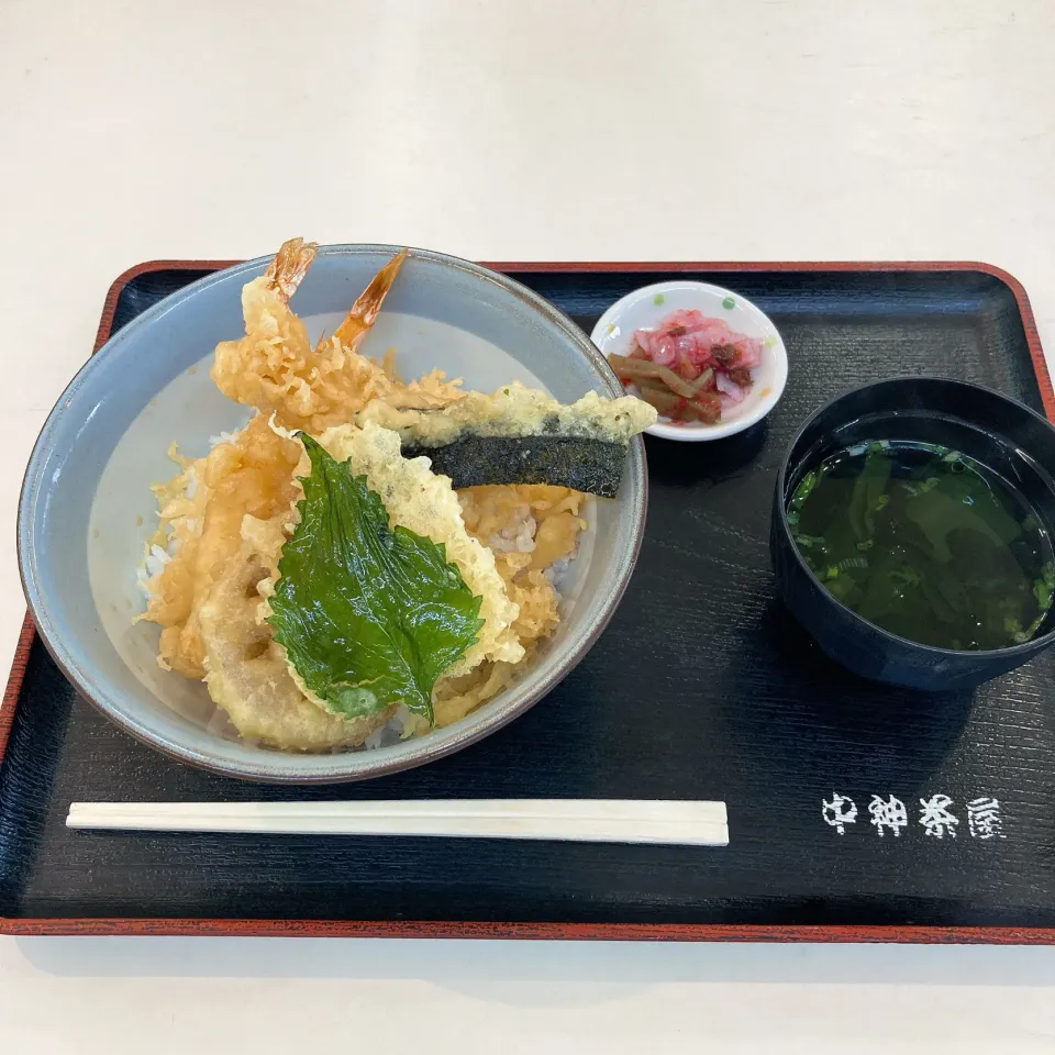 天丼⛩🥢|ちゃみこさん