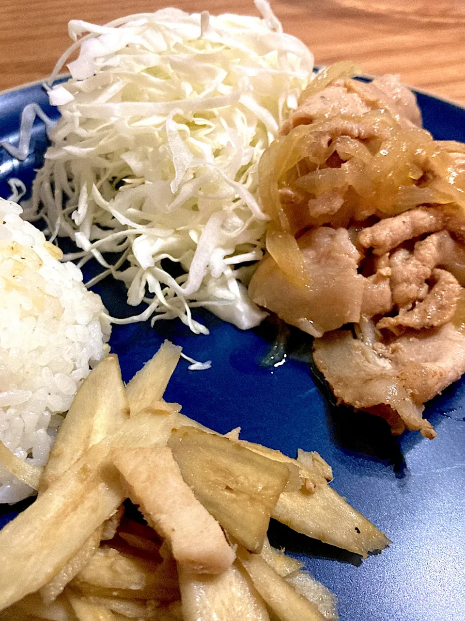 生姜焼きとごぼう炒め|海山つぶさん