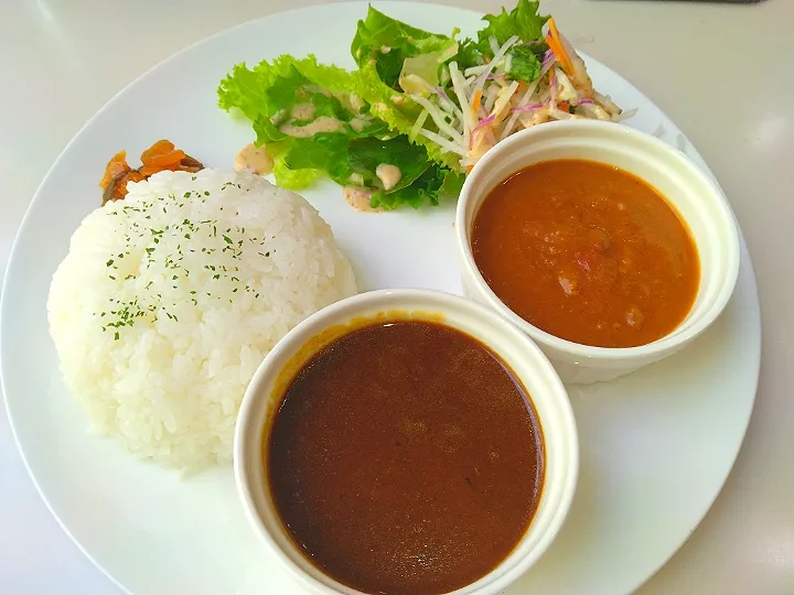 ビーフカレーとキーマカレー|よっちびやばんぶーさん