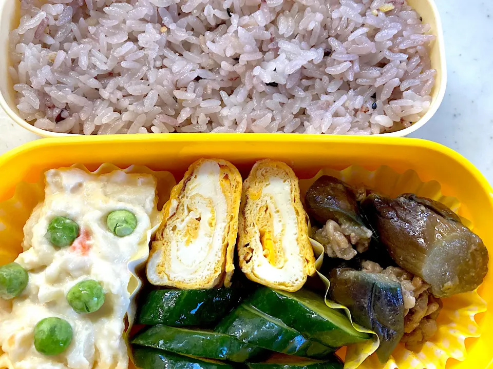 茄子味噌炒め弁当|料理嫌いを直したいさん