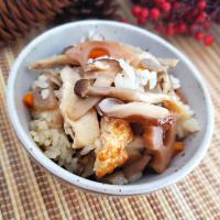 鳥取ご飯。キノコたっぷりどんどろけ飯(  ˙▿˙　)
豆腐の炊き込みご飯