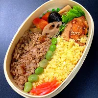 Snapdishの料理写真:鶏そぼろ弁当|マージさん