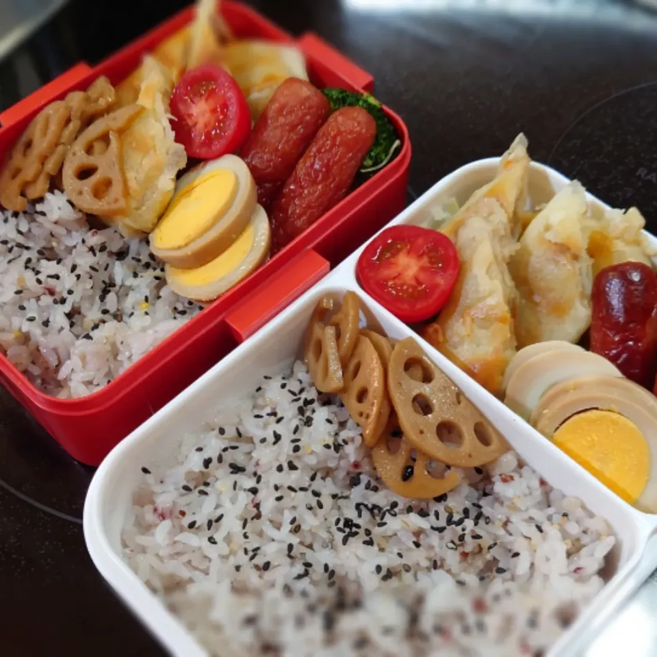 今日の二人弁当|yumihahaさん