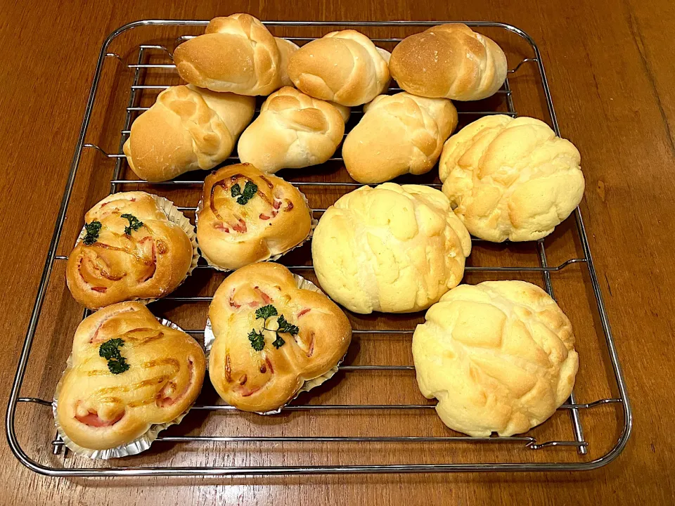 今日のぱん子たち🥐|きみちさん